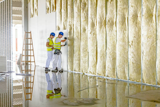 Best Eco-Friendly or Green Insulation Solutions  in Chapel Hill, NC